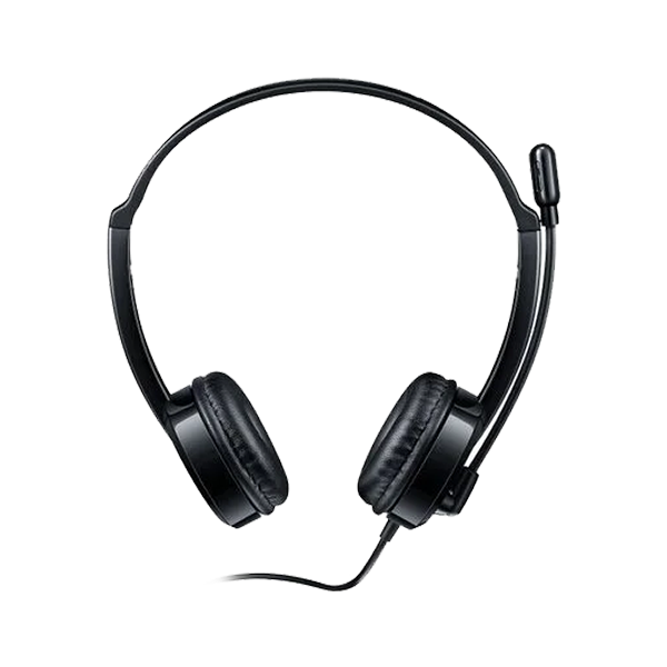 RAPOO H120 USB STEREO HEADSET (BLACK)
