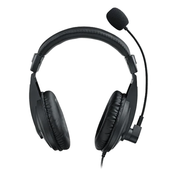 RAPOO H150 USB STEREO HEADSET (BLACK)