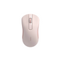 RAPOO B20 SILENT WIRELESS MOUSE (BLACK)