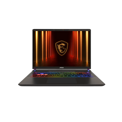 MSI VECTOR 16 HX AI A2XWHG-218PH ULTRA 7-255HX/8GB+8GB/512GB NVME/5070TI 12GB/16 240HZ/W11H (GRY)