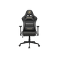 COUGAR ARMOR ONE GAMING CHAIR V2 F W/ HEADREST & LUMBAR CUSHION (BLACK/GOLD)