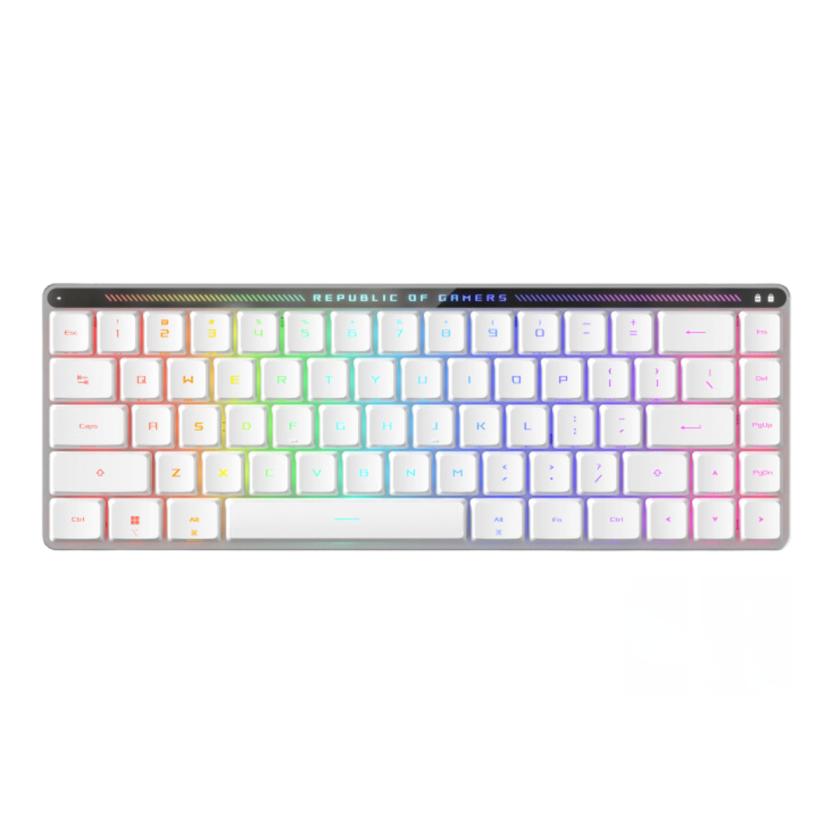 ASUS ROG FALCHION RX LOW PROFILE 65% COMPACT RGB MECHANICAL GAMING KEYBOARD-Blue Switch