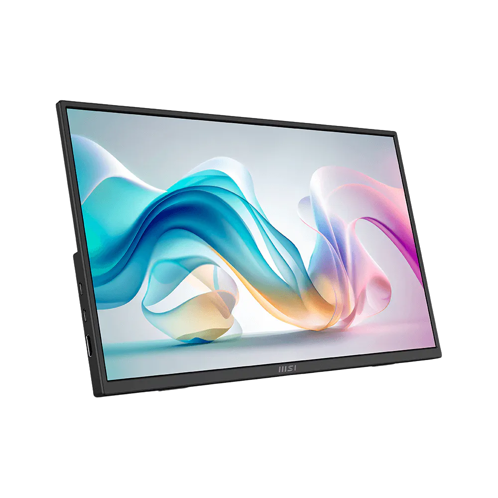 MSI PRO MP165 E6 15.6" FHD LED IPS PORTABLE MONITOR (HDMI, 2XUSB-C)