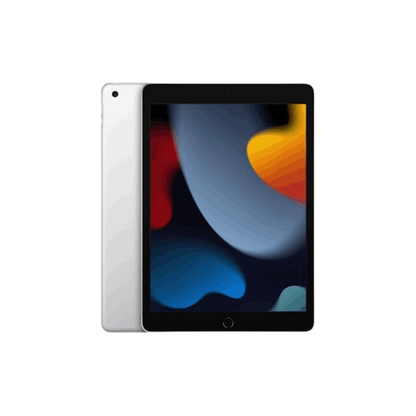 APPLE IPAD 9 256GB WIFI
