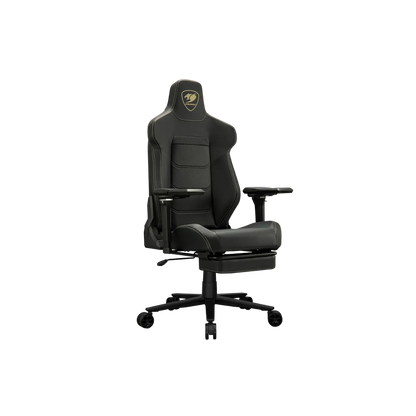 COUGAR ARMOR EVO M GAMING CHAIR W/ HEADREST & LUMBAR CUSHION, 5D-ARMREST (BLACK/GOLD)