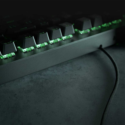 RAZER BLACKWIDOW V3 TKL MECHANICAL GAMING KEYBOARD (GREEN SWITCH)