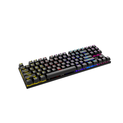 RAPOO GK500-87 BACKLIT MECHANICAL GAMING KEYBOARD (BLACK)