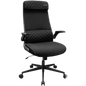 COUGAR STRYDER ERGONOMIC CHAIR (BLACK)