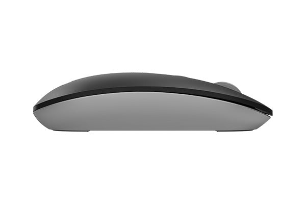 A4TECH FG20 FSTYLER 2.4GHZ WIRELESS OPTICAL MOUSE (GRAY)