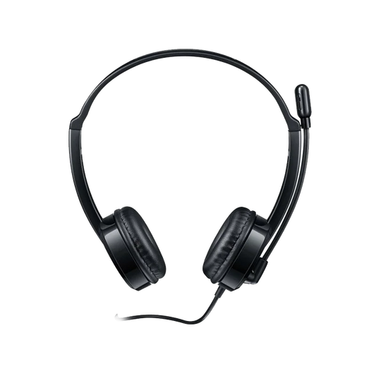 RAPOO H100 3.5MM STEREO HEADSET (BLACK)
