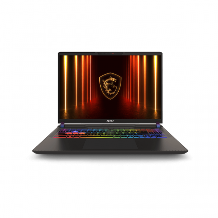 MSI VECTOR 16 HX AI A2XWHG-218PH ULTRA 7-255HX/8GB+8GB/1TB NVME/5070TI 12GB/16 240HZ/W11H (GRY)